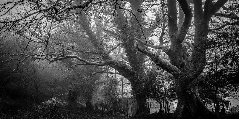 嘻哈23：解码当代嘻哈音乐的脉搏与资讯共享新生态