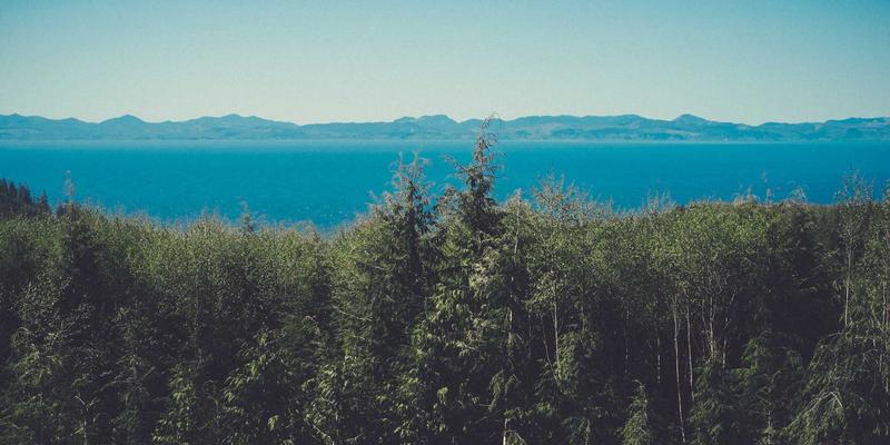 嘻哈31：当数字密码遇见街头律动，解码嘻哈文化的音乐分享革命