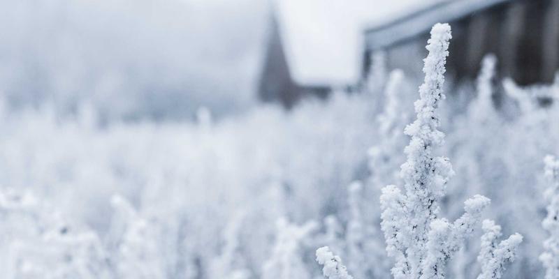 嘻哈56：从地下到主流，中国说唱音乐的蜕变与新生