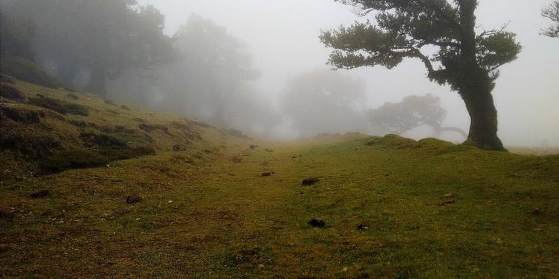 嘻哈专辑的视觉叙事：MV导演如何构建说唱宇宙 | 深度嘻哈资讯与音乐分享