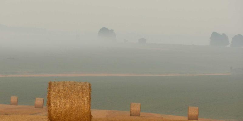 嘻哈文化浪潮：从地下到主流，解码当代青年文化风向标