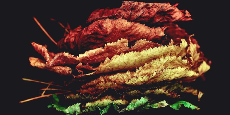 嘻哈资讯与音乐分享：线上社区与线下俱乐部如何重塑嘻哈艺术家社群生态