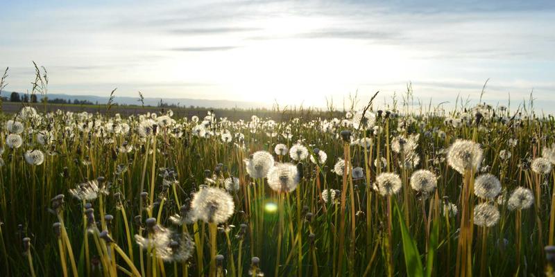 嘻哈音乐深度指南：从文化根源到当代艺术家推荐