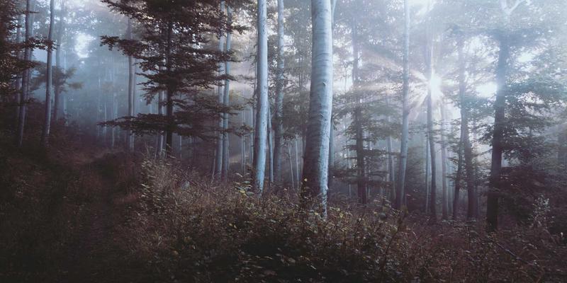嘻哈音乐的未来图景：从地下走向主流，技术如何重塑音乐分享与艺术家生态