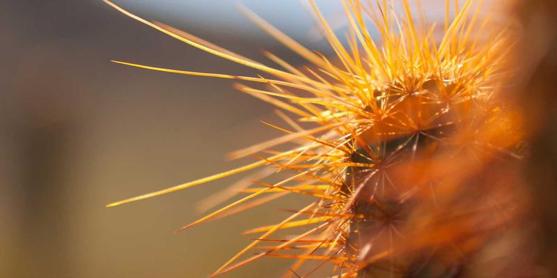 拉丁嘻哈的全球浪潮：文化融合如何重塑嘻哈音乐与说唱市场